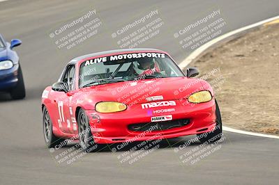 media/Jan-26-2025-CalClub SCCA (Sun) [[cfcea7df88]]/Group 4/Race/